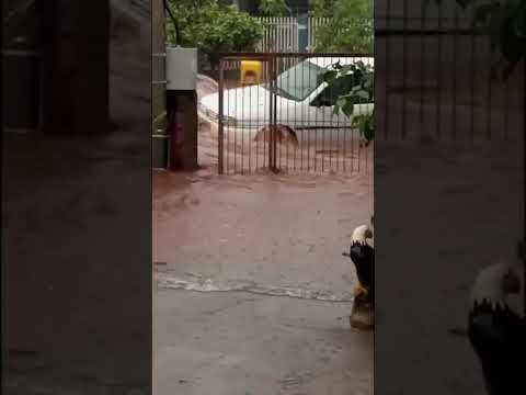 Forte chuva cidade de Altônia Pr