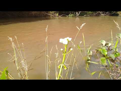 Naturezando o bem viver