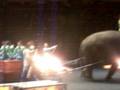 Ringling Bros Circus
