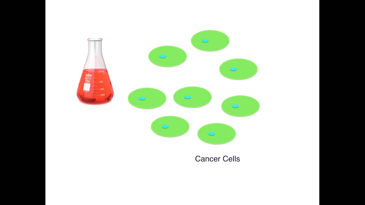 Rx: Funding Basic Science Research