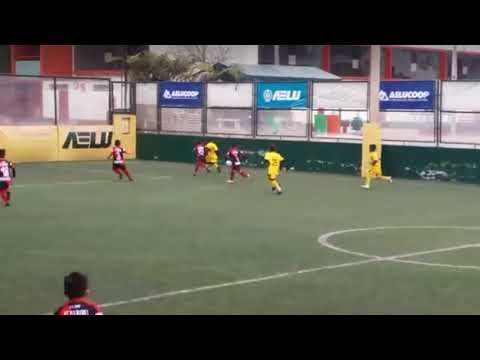 Goles de Flavio Collantes