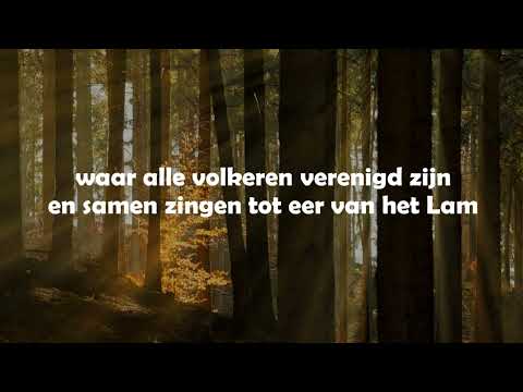 Opwekking met tekst 607 Machtige Redder (versie 3)