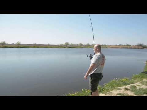 Carp Master Crazy Carp Run.