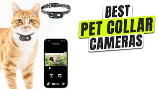 3 BEST Pet Collar Cameras 2025 - See the World Through Their Eyes!