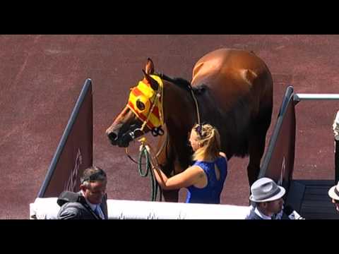 Ascot, 13/02/2016 - Race 4 - SLICK TALKER - David Harrison & Kate Witten