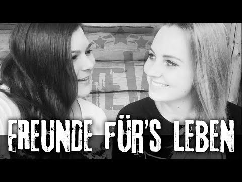 STEVY - Freunde fürs Leben