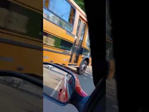 Terra natal, Centenário do sul PR #parana