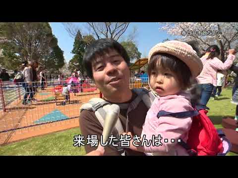 Boletín Municipal Renovación del equipamiento del parque infantil Greenpia Kasugai en la plaza del césped