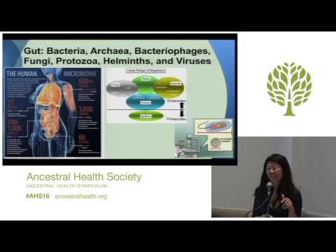 AHS16 - Grace Liu - Ancient Apothecary