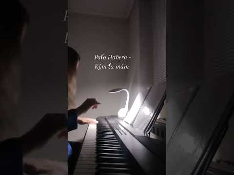 Paľo Habera - Kým ťa mám