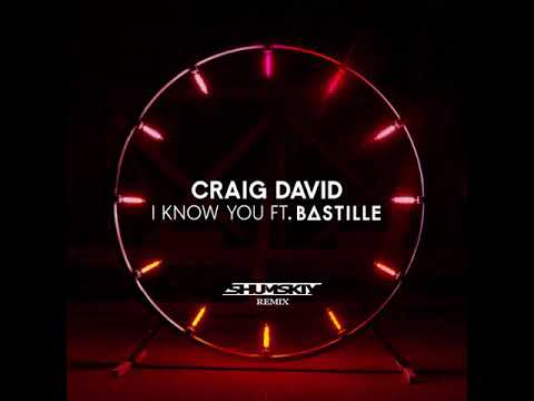 Craig David feat. Bastille - I Know You (SHUMSKIY remix)