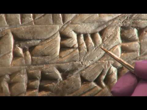 Conservation Project