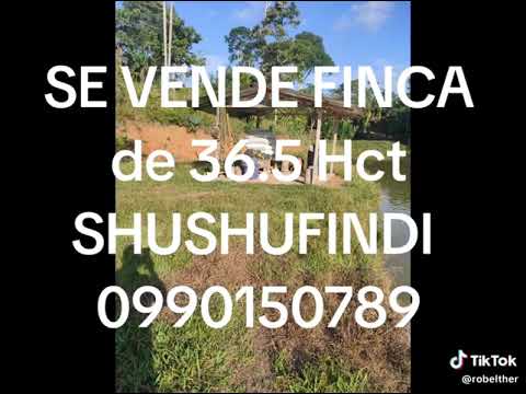 Se vende finca en Shushufindi, Sucumbios, Ecuador. Solo interesados   Gloria Dios