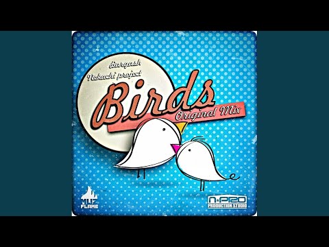 Birds (Original Mix)