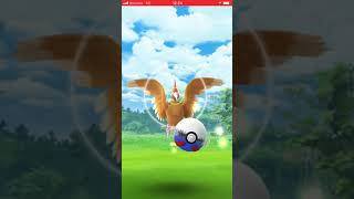 ポケモンgo ドクケイル الإنترنت هو أسهل طريقة للعثور على ملفات Mp3 مجانية ポケモンgo ドクケイル الإنترنت هو أسهل طريقة للعثور على ملفات Mp3 مجانية
