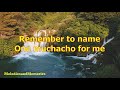 Adios Amigo by Jim Reeves - 1965 (with lyrics)