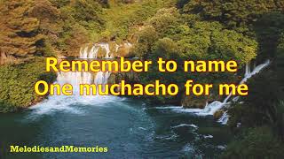 Adios Amigo by Jim Reeves - 1965 (with lyrics)