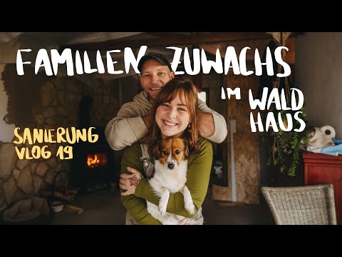 Forest House Renovation Vlog 19 - the Tiny House project continues