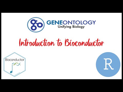 05 | Introduction To Gene Ontology (GO)