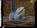 Classic Sesame Street May I Be Your Friend
