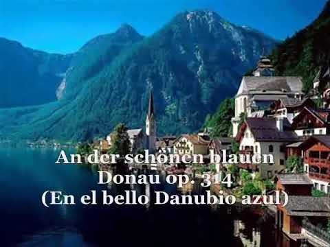 LOS VALSES MÁS HERMOSOS DEL MUNDO