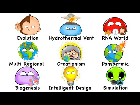 Every LIFE Theory Explained In 12 Minutes