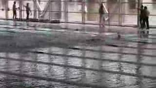 preview picture of video 'Città di Cremona - 50 delfino (Montini)'