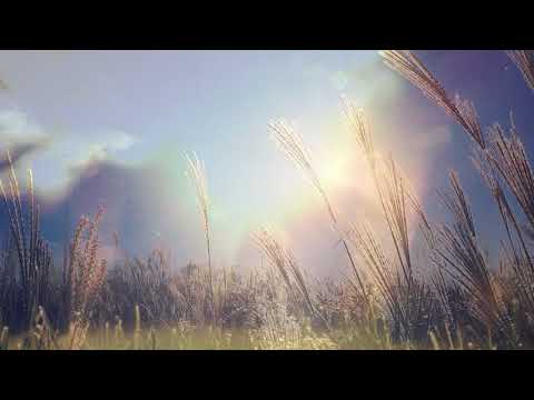 OSTASII LUI HRISTOS - Corul barbatesc Betleem - Londra - In apusul serii