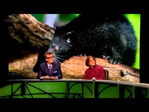 QI XL   Series 10 Episode 10 J Series   Jungles