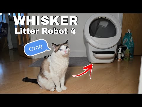 Whisker Litter Robot 4 | Unboxing | Automatic Cat Litter