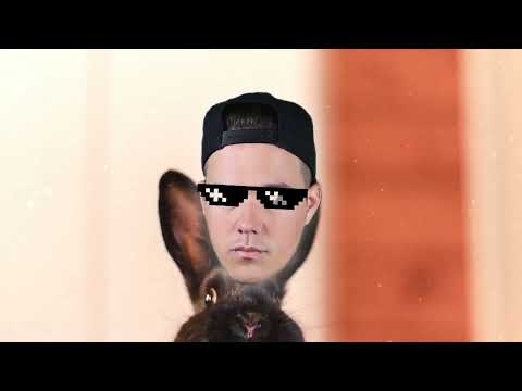 ZYZZ Häschenparty [NoooN Reveals]