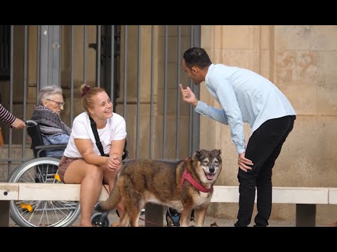 LANGUAGES INVENTED IN BARCELONA!