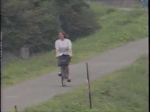 A Day in the Life of a CIR (1990)