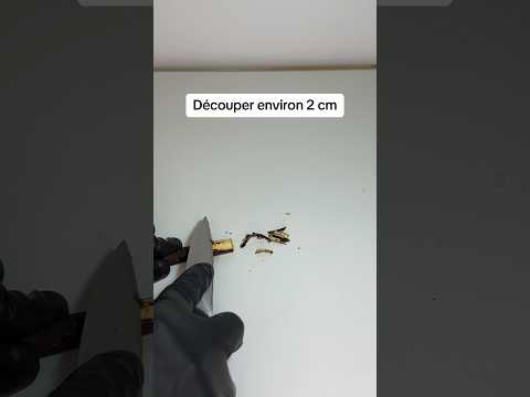 Préparation siwak #siwak #siwaknoir #blanchiment #dentsblanches #nature #naturel #preparation #top