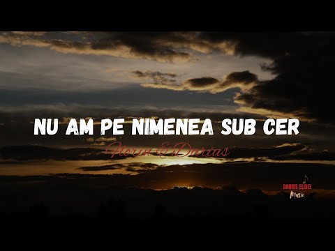 Florin&Darius -  Nu am pe nimenea sub cer