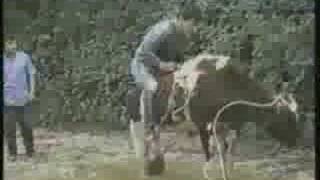 So You Want To Be A Cowboy