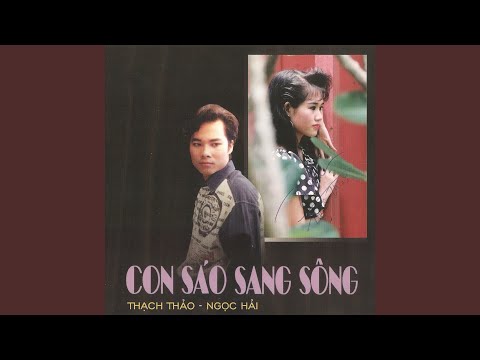 Rừng cây chim đến - Ngọc Hải