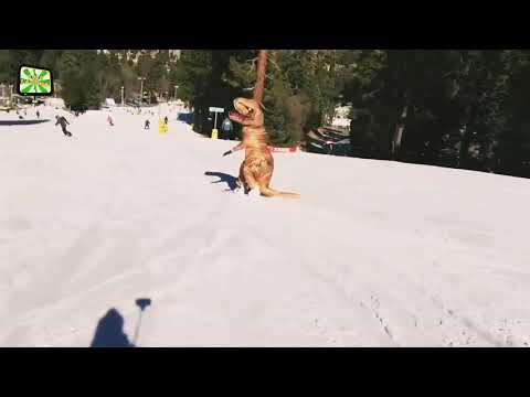 Coexist - Tontario x Leo Islo UNOFFICIAL music video