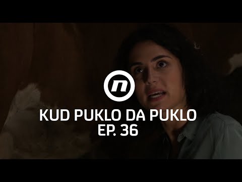Kate muze kravu - Kud puklo da puklo - epizoda 36