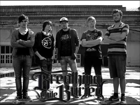Breathing While Buried - Scream To The Sky ( new song 2011 )