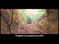 PJ Harvey - The colour of the earth (subtitulado)