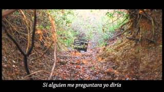 PJ Harvey - The colour of the earth (subtitulado)
