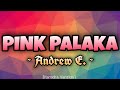 Andrew E - PINK PALAKA  [Karaoke Version]