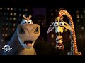 Madagascar Movies 1 3 The Ultimate Extended Preview
