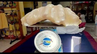 Fisherman Unknowingly Keeps Giant $100 Million Pearl Under His Bed For 10 Years