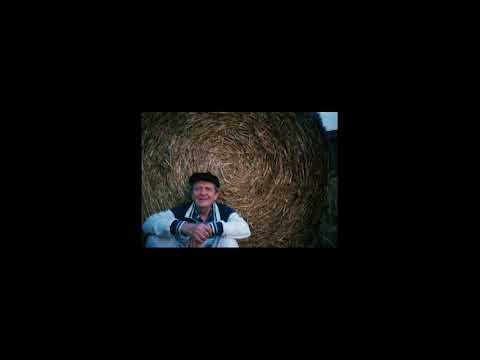 Stanley Krippner on Albert Hoffman's 100th birthday party