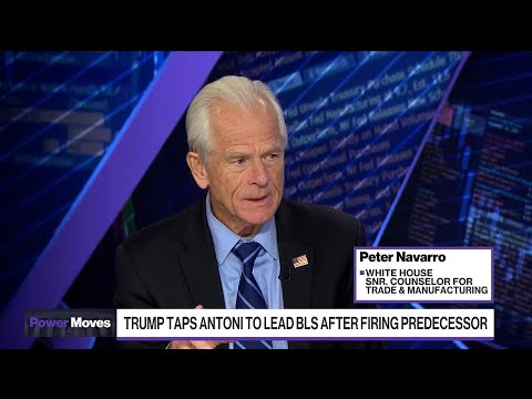 I Don't Trust The Numbers: Peter Navarro on Tariffs and Labor Statistics