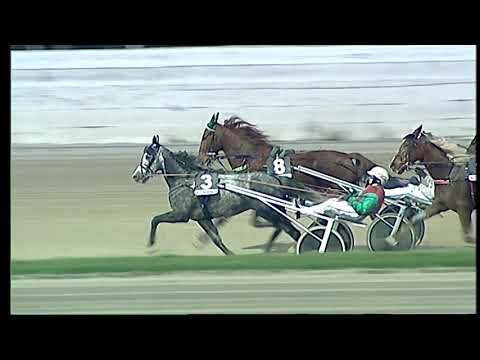 Trotto 13/12/2020 - 7ª corsa