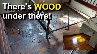 Hoarder Aftermath: Rescuing a COMPLETELY TRASHED hardwood floor