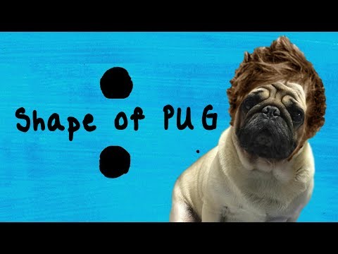 Shape of Pug (Cover by Ku The Pug)